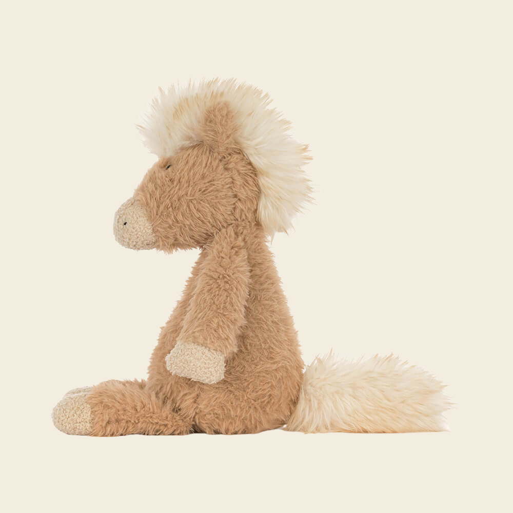 Canterneigh Pony