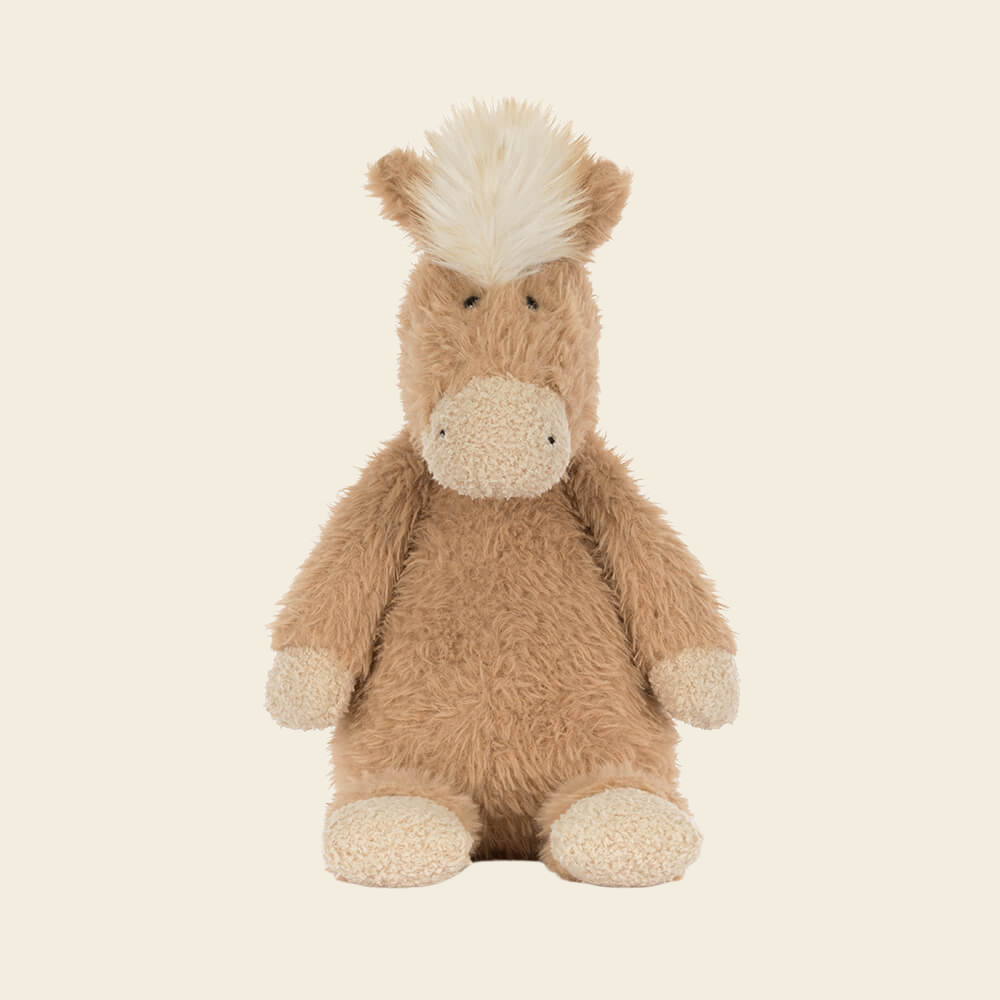 Canterneigh Pony
