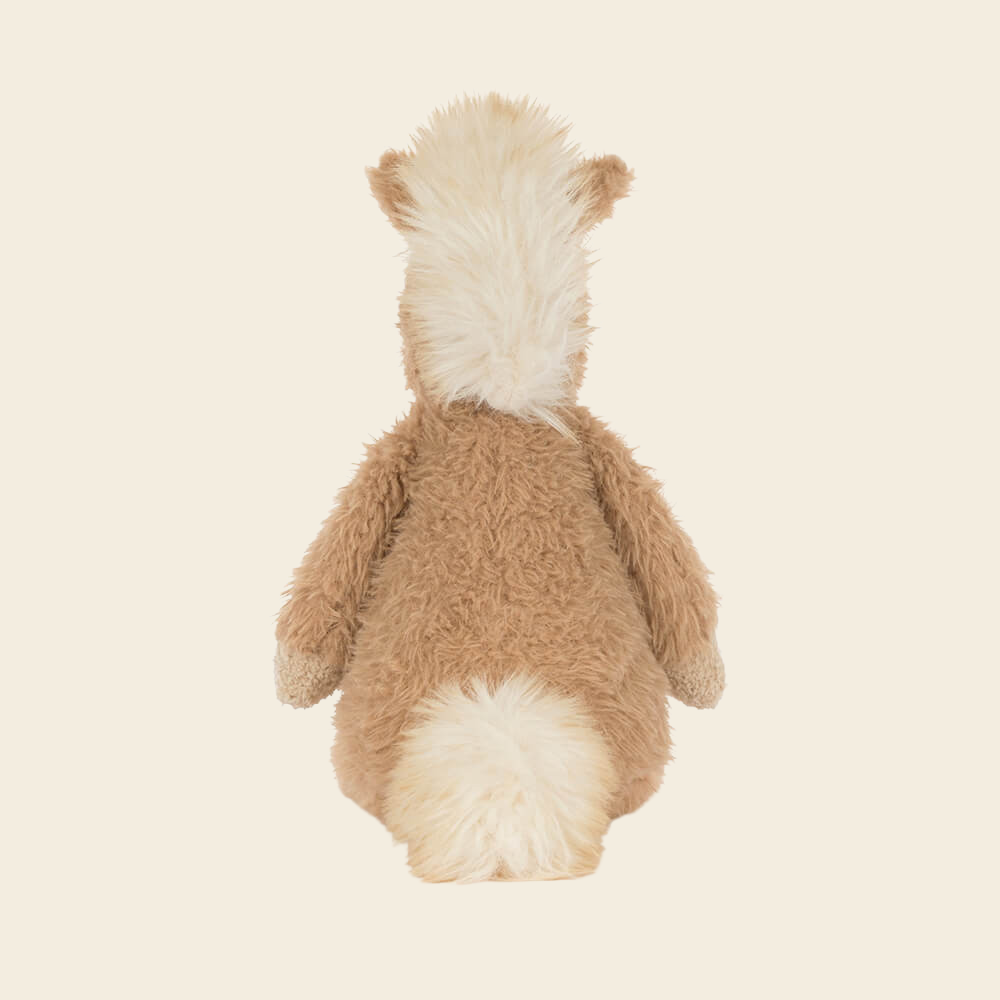 Canterneigh Pony