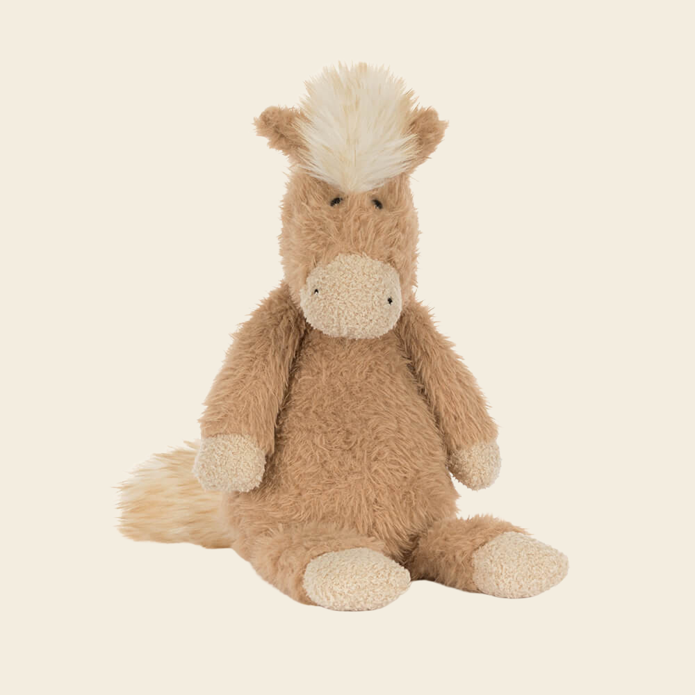 Canterneigh Pony