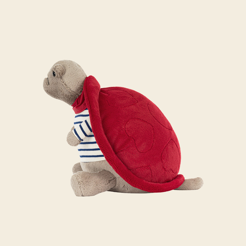 Timmy Turtle Romantic Outfit