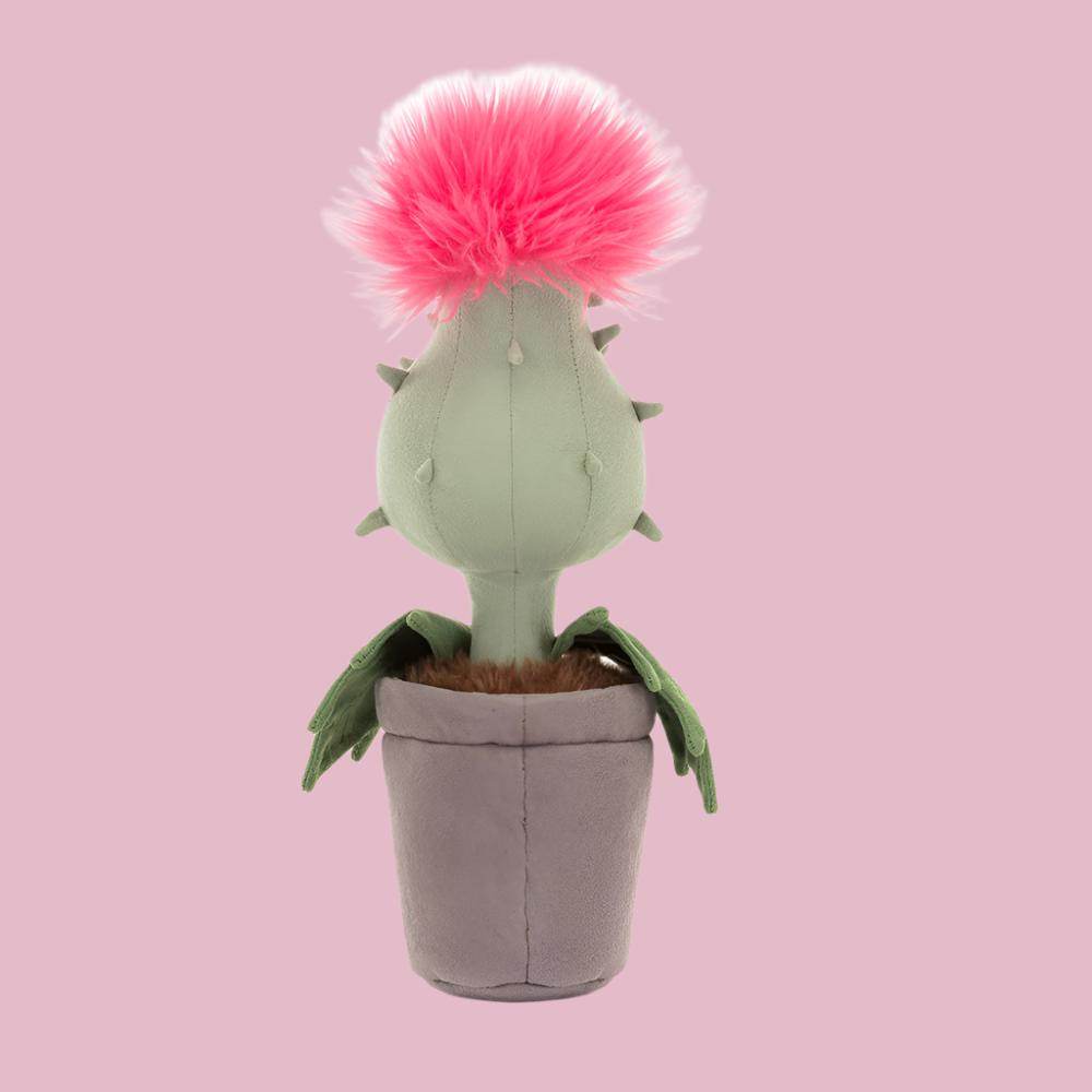 Carniflore Priscilla