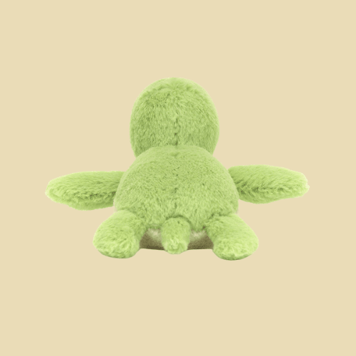 Fluffy Turtle