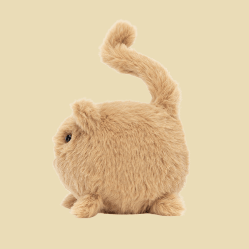 Kitten Caboodle Ginger