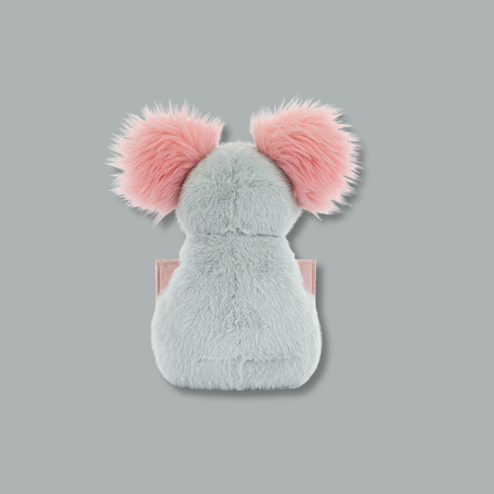 Koala with Message