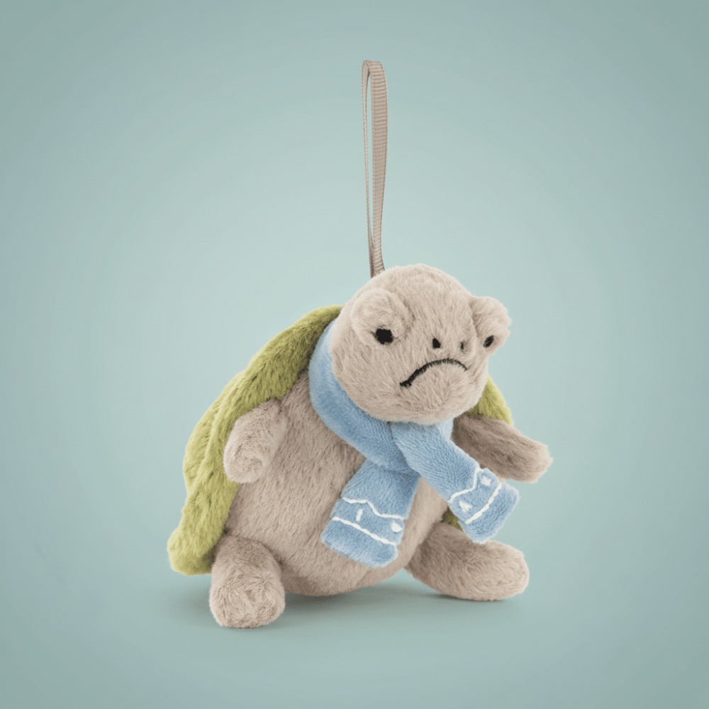 Timmy Turtle Decoration